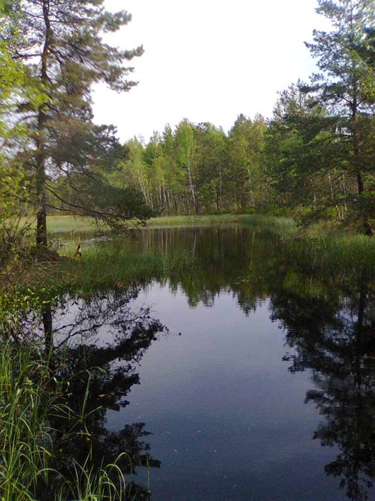 Коттедж № 97