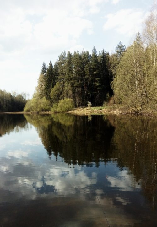 Коттедж № 97