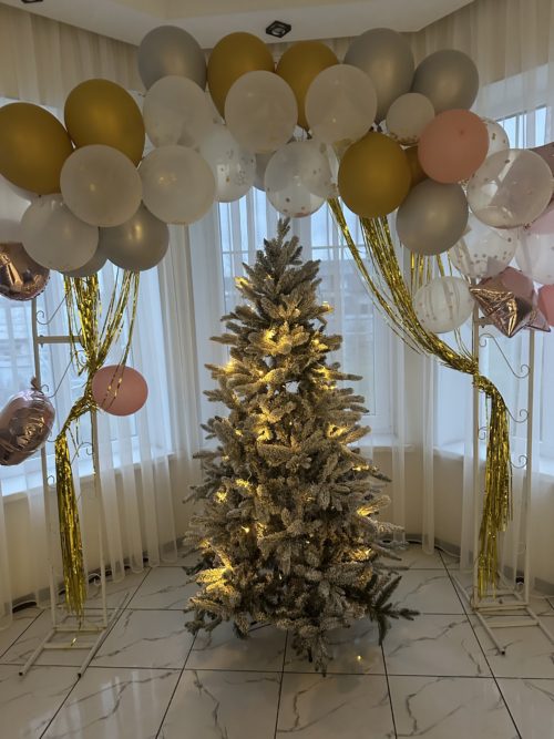 Коттедж № 51