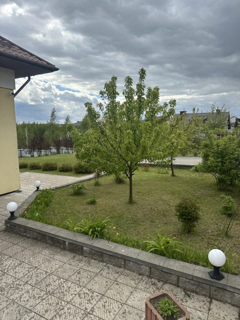 Коттедж № 51