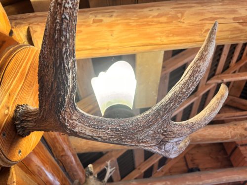 Коттедж № 43