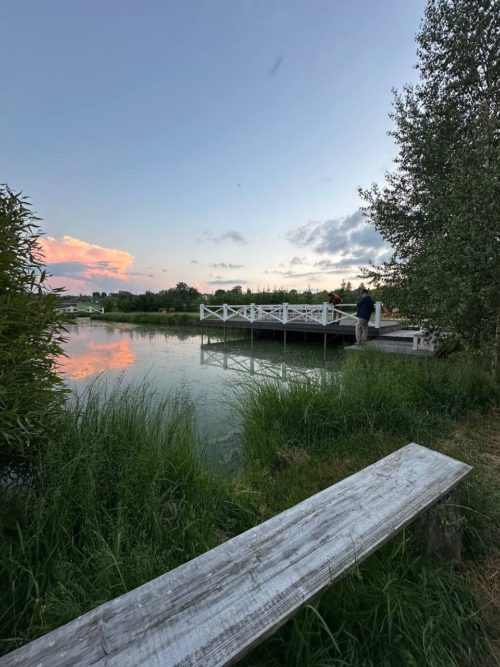 Коттедж № 4