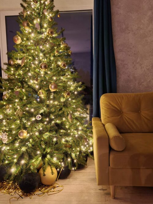 Коттедж № 81