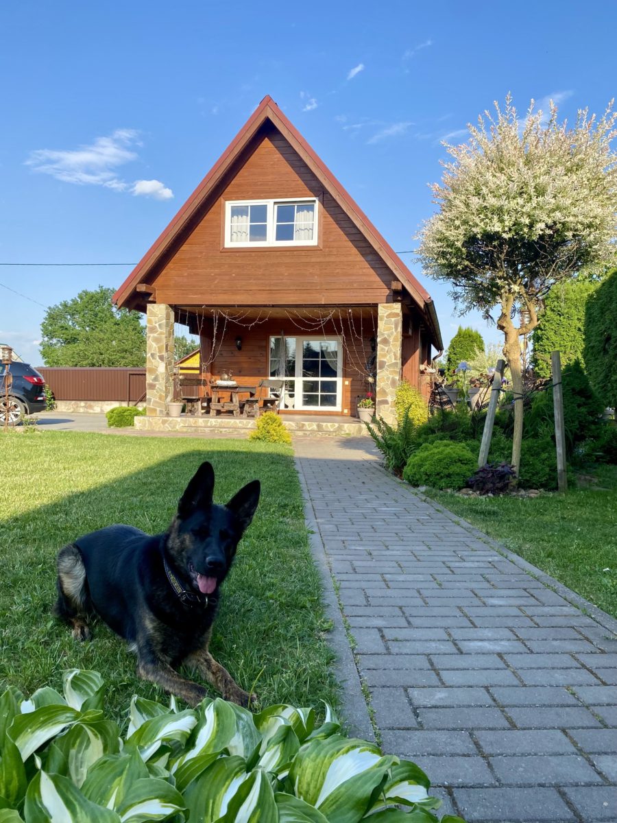 Коттедж № 8