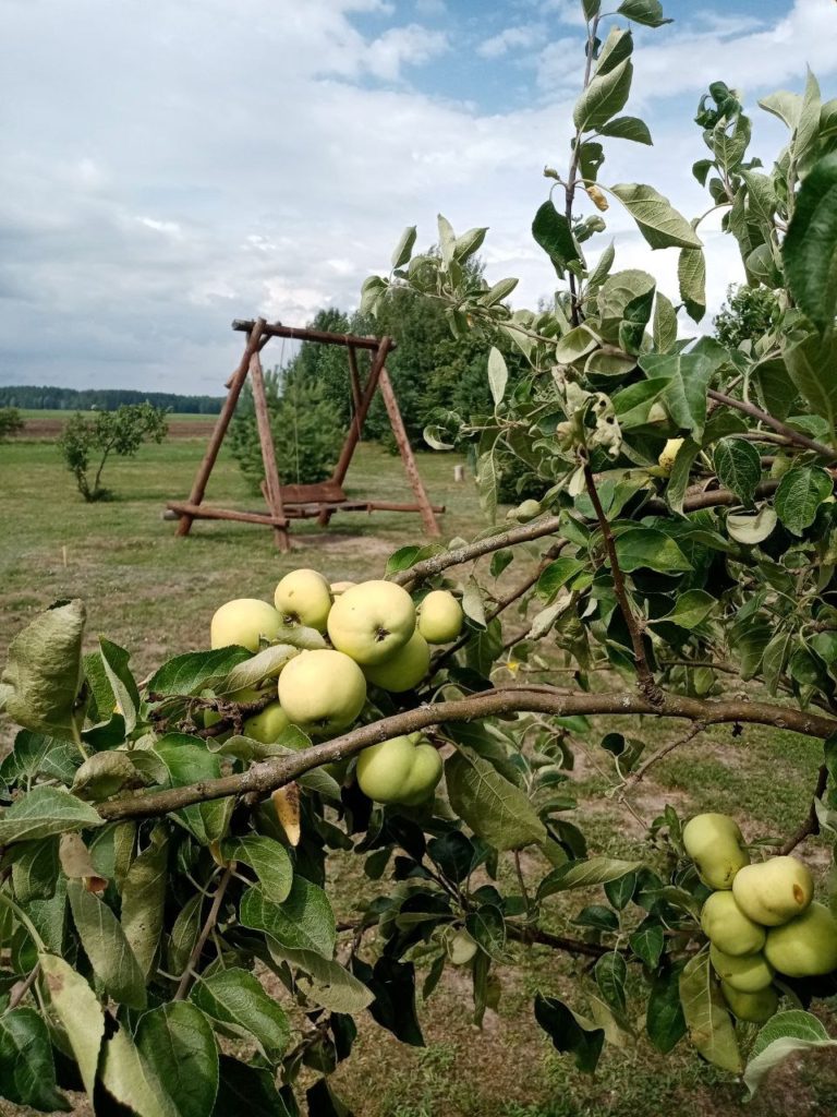 Коттедж № 57