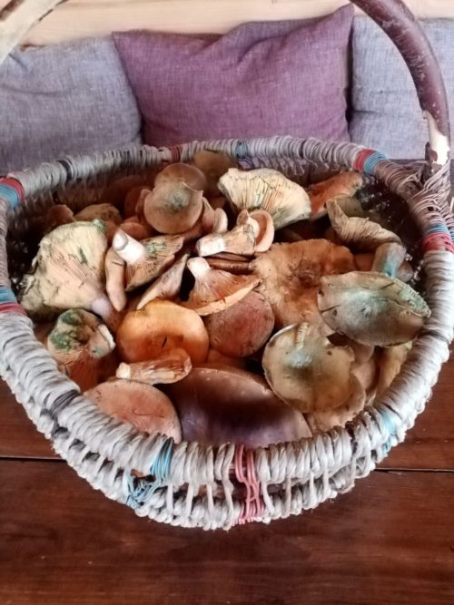 Коттедж № 57