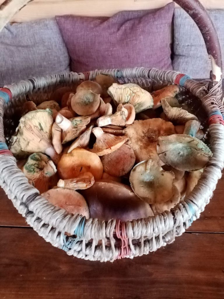 Коттедж № 57