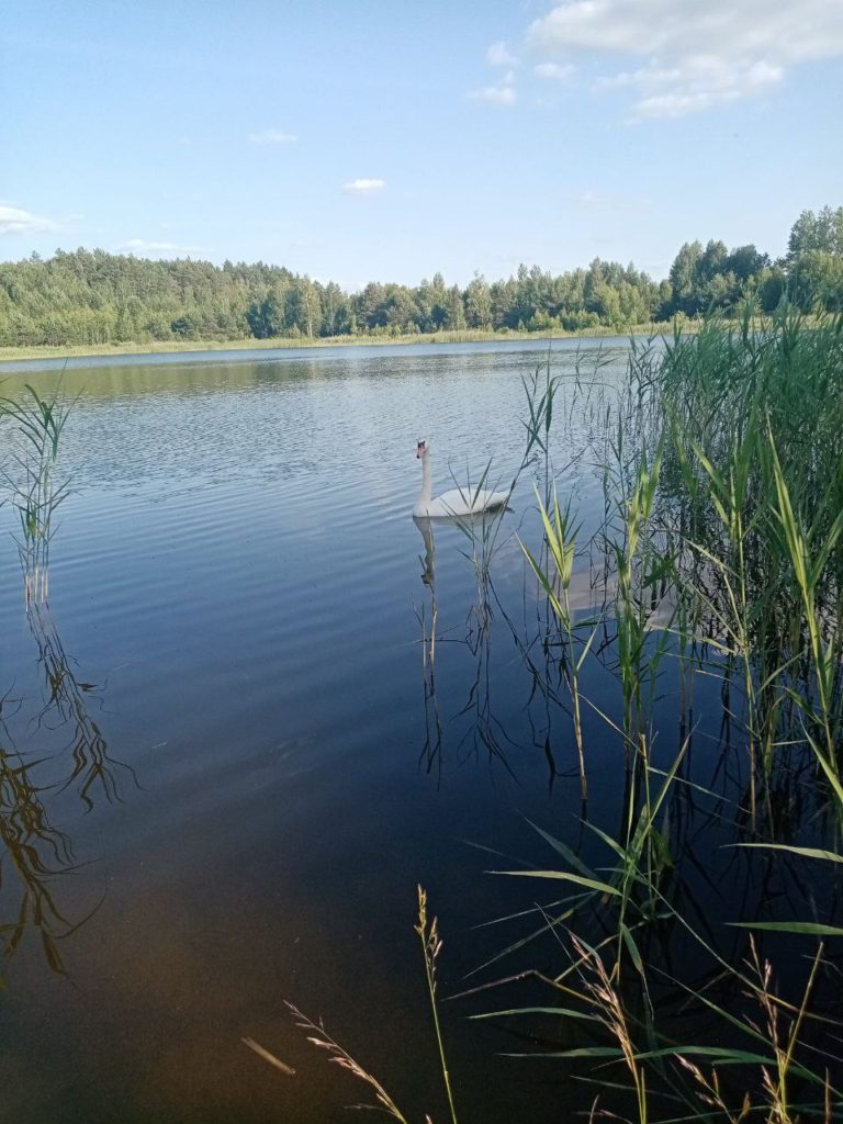 Коттедж № 57