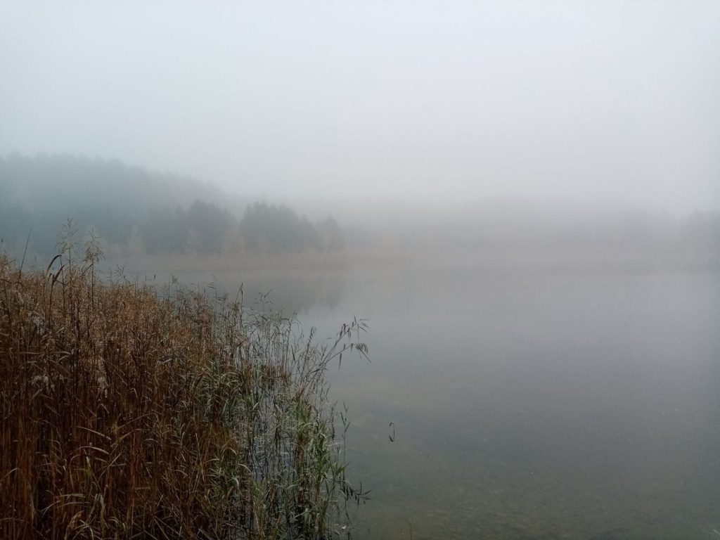 Коттедж № 57