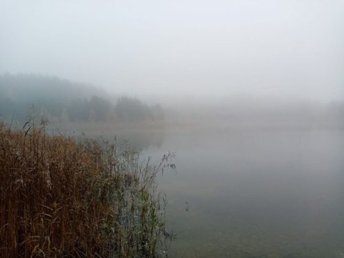 Коттедж № 57