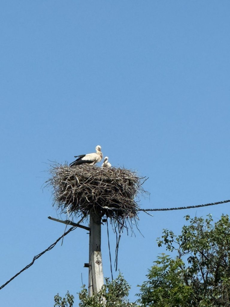 Коттедж № 57