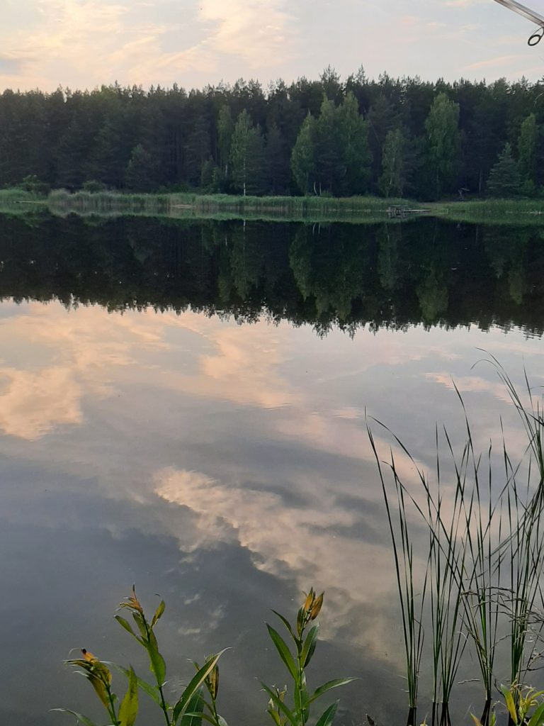 Коттедж № 7