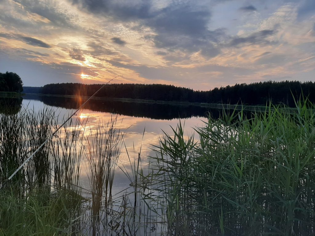 Коттедж № 7