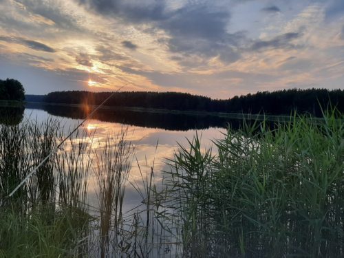 Коттедж № 7