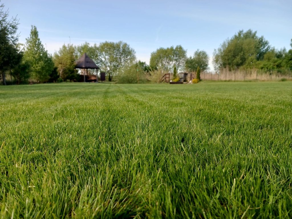 Коттедж № 2