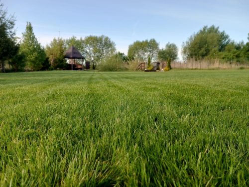 Коттедж № 2