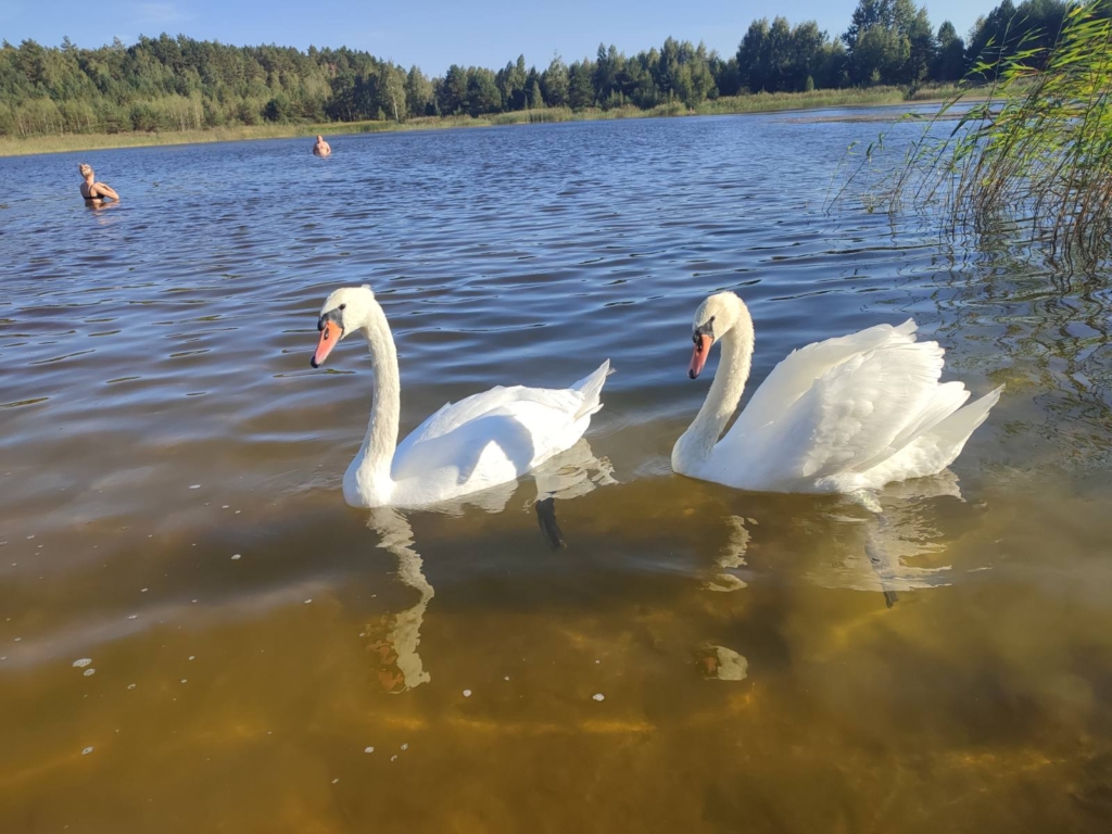 Коттедж № 7