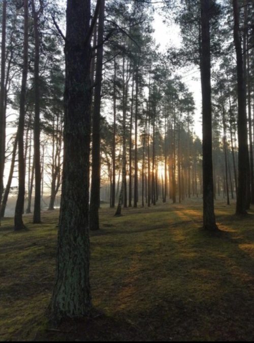 Коттедж № 131