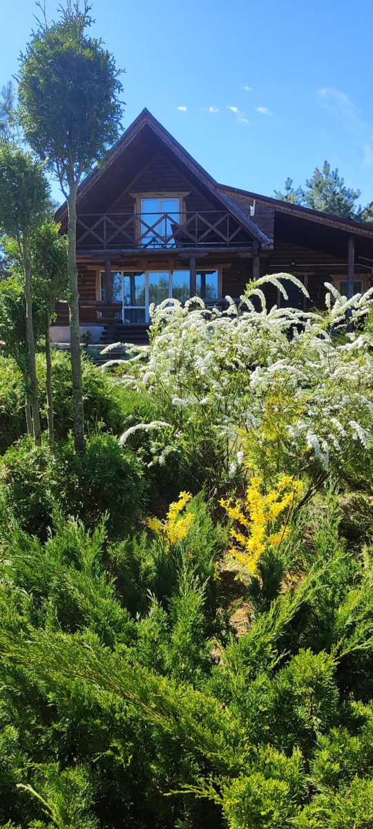 Коттедж № 49