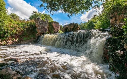 Коттедж № 43