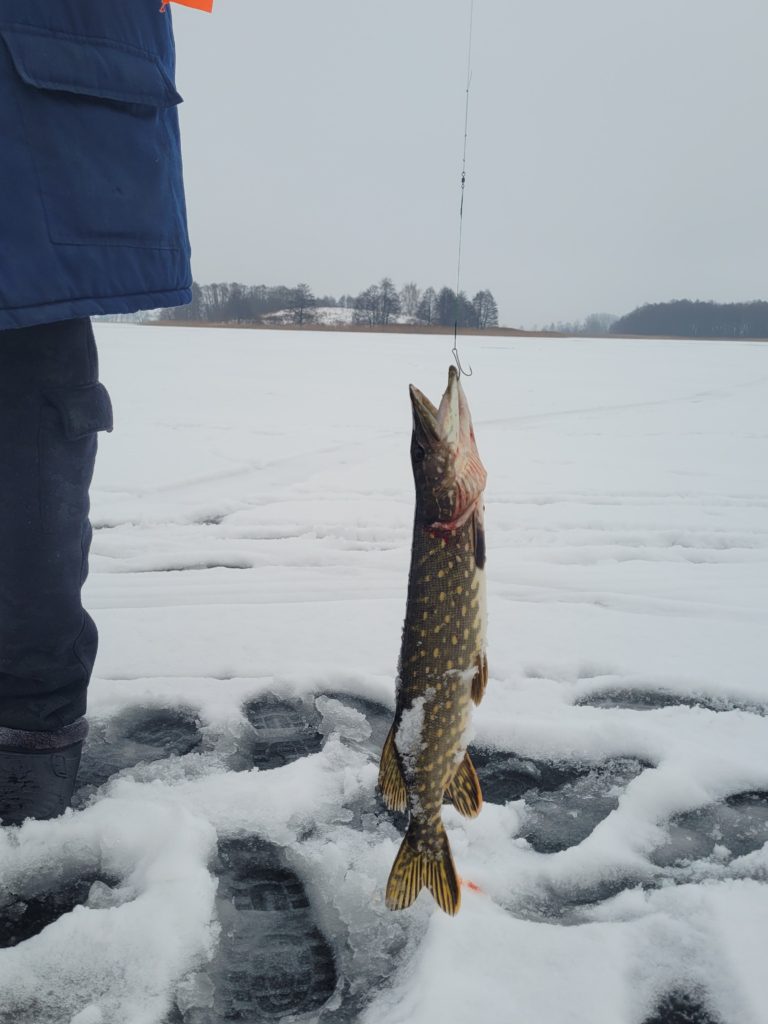 Коттедж № 21