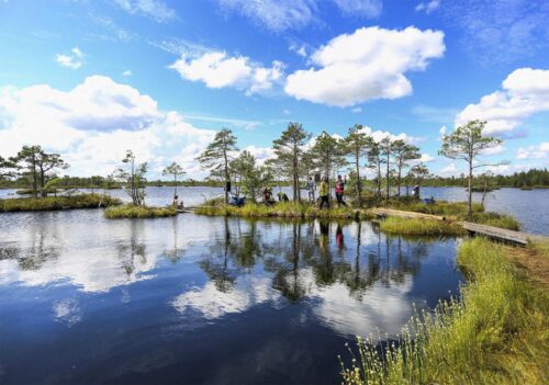 Коттедж № 43