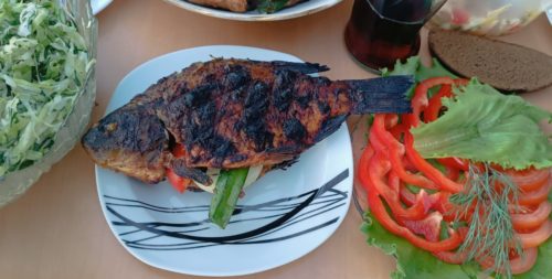 Коттедж № 43