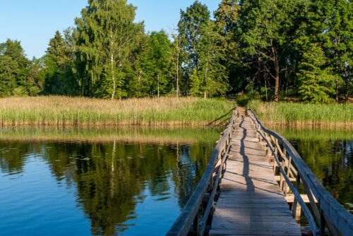 Коттедж № 43