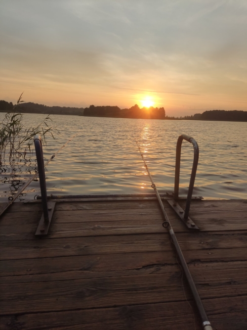 Коттедж № 21