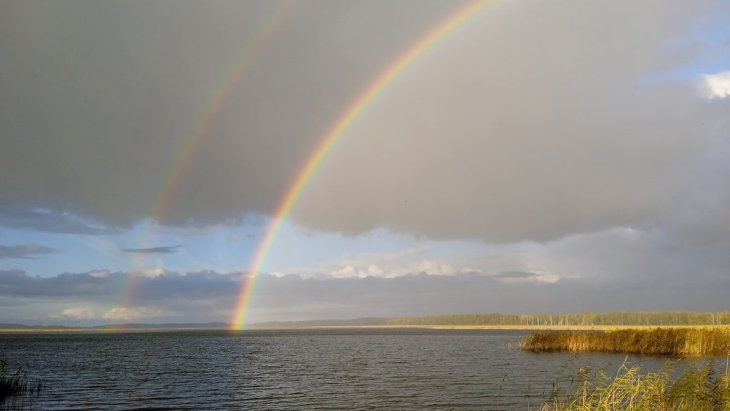 Коттедж № 81