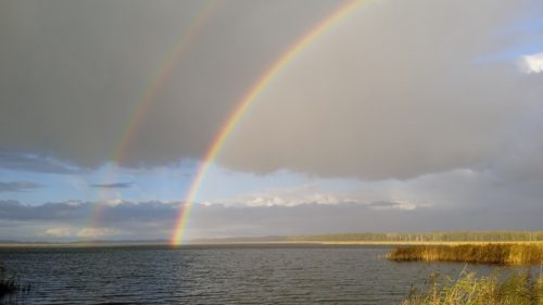 Коттедж № 81