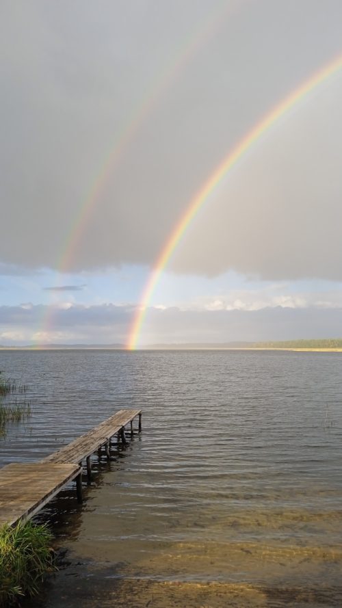 Коттедж № 81