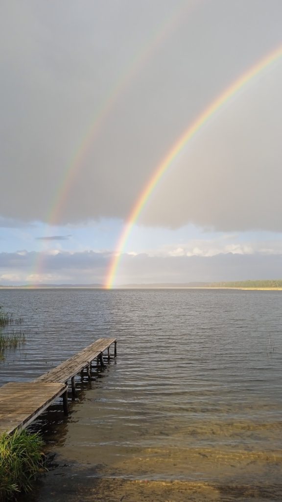 Коттедж № 81