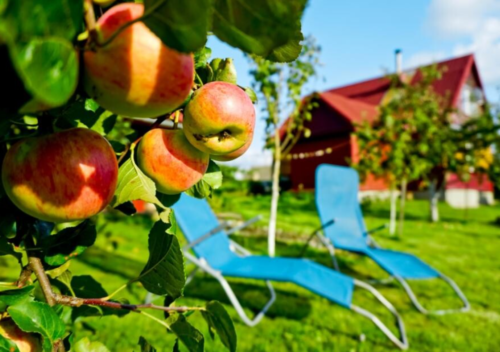 Коттедж № 2