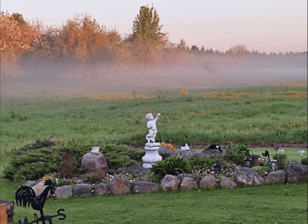 Коттедж № 2