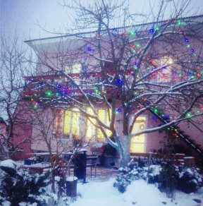 Коттедж № 50