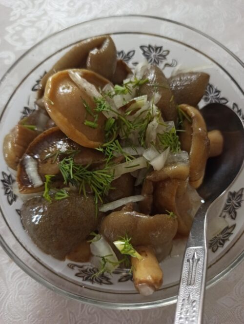 Коттедж № 195