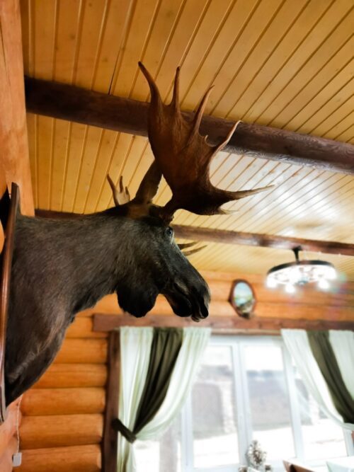 Комплекс коттеджей № 5