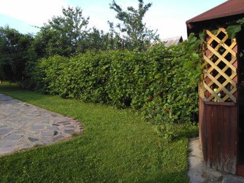 Коттедж № 278