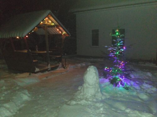 Коттедж № 278