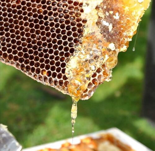 Коттедж № 4