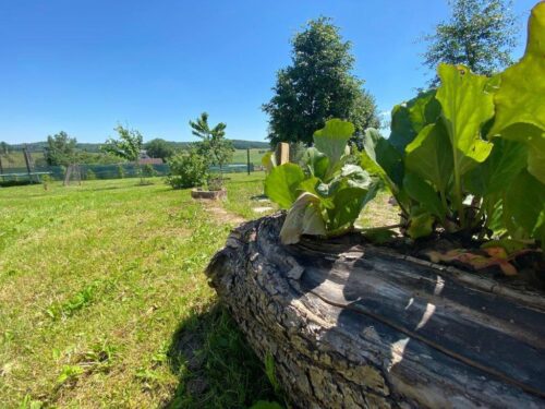 Коттедж № 155