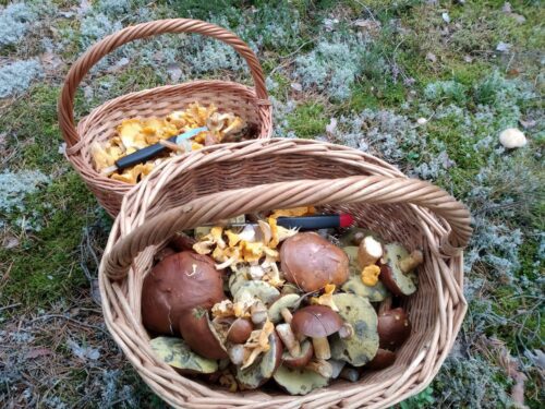 Коттедж № 307