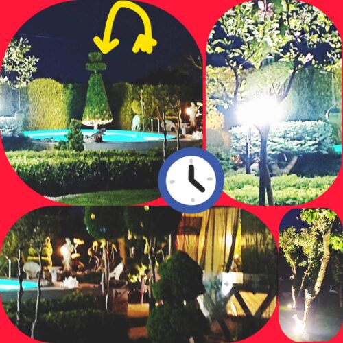 Коттедж № 24