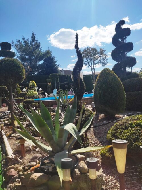 Коттедж № 24