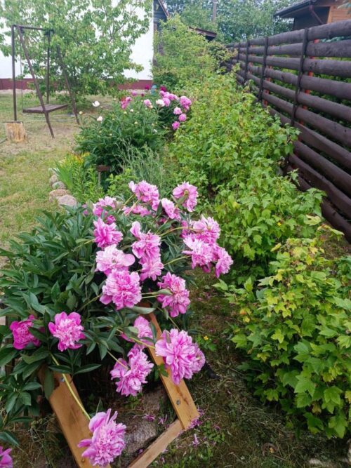 Коттедж № 147