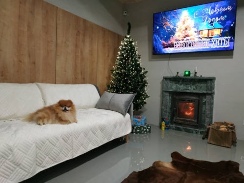 Коттедж № 206