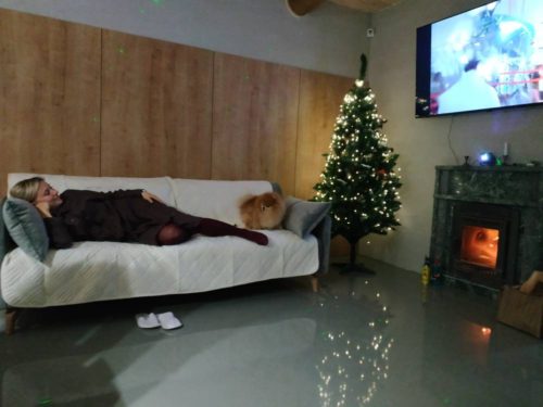 Коттедж № 206