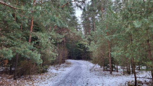 Коттедж № 135