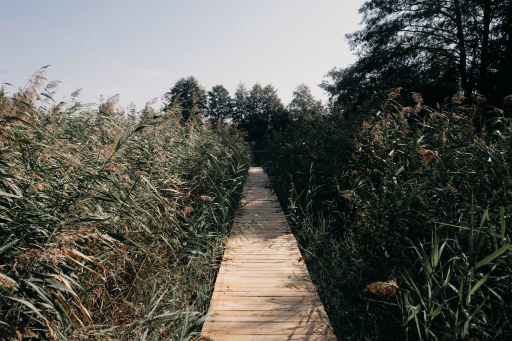 Коттедж № 47